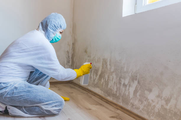 Bathroom Mold Removal assessment in Gambrills bathroom