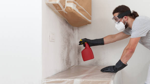 Basement Mold Remediation treatment on basement walls in Gambrills