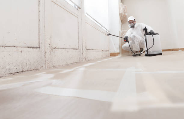 Black mold remediation team in Gambrills
